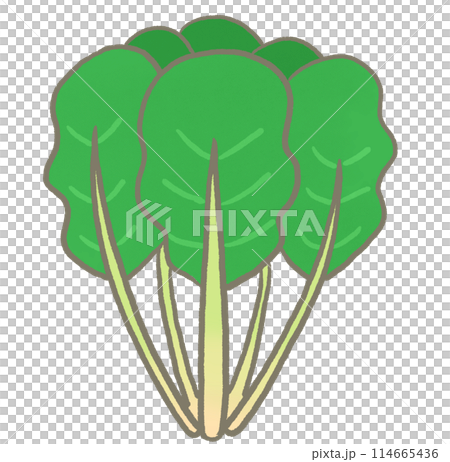 R: More fairy-tale vegetables: Spinach③ R: More fairy-tale vegetables: Spinach③ 114665436