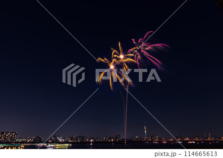 江東花火大会　東京都 114665613