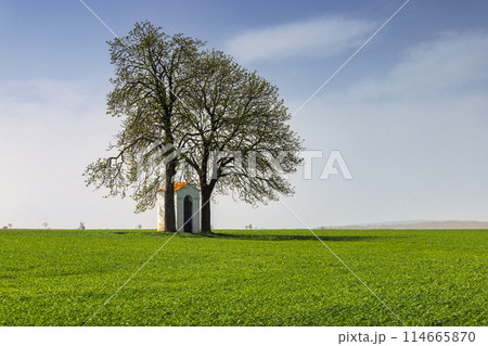 Chapel in the field near Podyji National Park, near Znojmo town 114665870