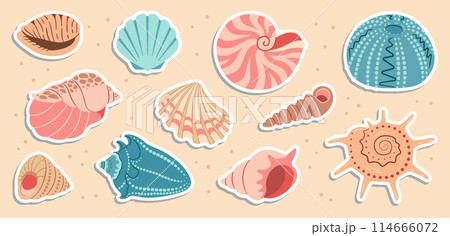 Sea shells sticker set. Trendy flat style Hand drawn seashell collection. 114666072
