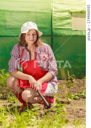 woman with gardening tool working in garden woman with gardening tool working in garden 114666091