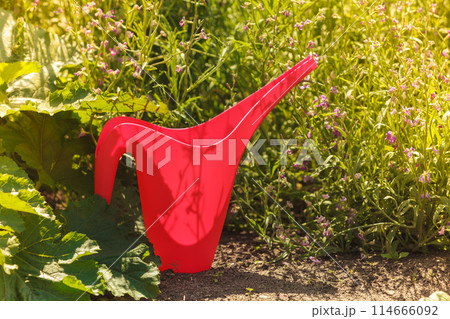 red water can in garden red water can in garden 114666092