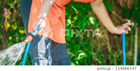 Working watering garden from hose Working watering garden from hose 114666147