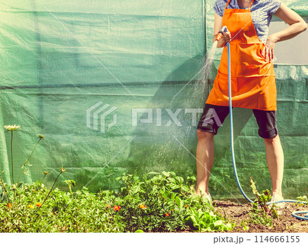 Woman watering the garden with hose 114666155