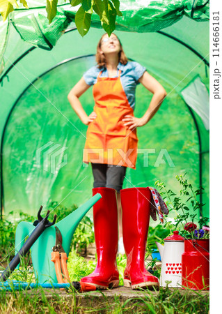 Female farmer and gardening tools in garden Female farmer and gardening tools in garden 114666181