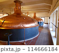 Beer copper fermentation vats in brewery Beer copper fermentation vats in brewery 114666184