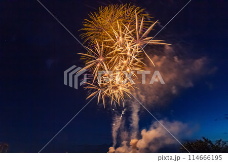 さいたま市花火大会　大和田公園会場 114666195