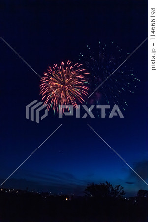 さいたま市花火大会 大和田公園会場 さいたま市花火大会 大和田公園会場 114666198