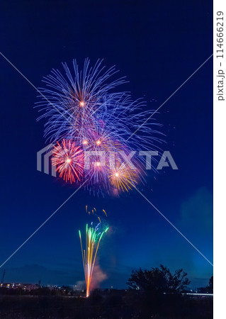 さいたま市花火大会 大和田公園会場 さいたま市花火大会 大和田公園会場 114666219