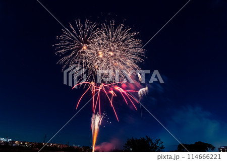 さいたま市花火大会 大和田公園会場 さいたま市花火大会 大和田公園会場 114666221