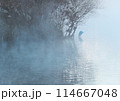 朝もやの中にたたずむサギ 114667048