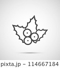 Icon Christmas berries for holiday season 114667184