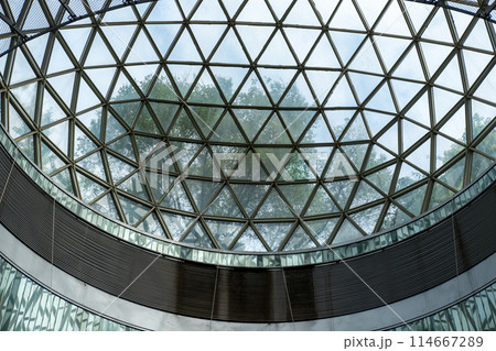 Detail of dome skylight structure roof view from below, with tree on the background 114667289