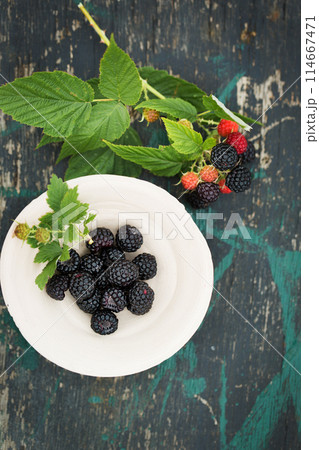 Wild black forest raspberries in a clay bowl 114667471