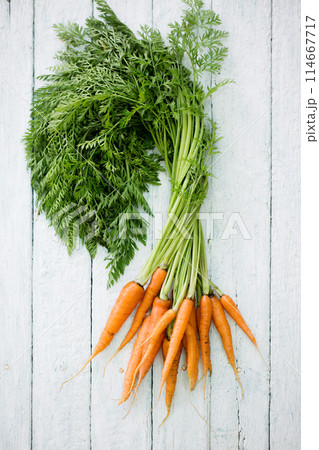 Fresh juicy farm carrot with green top Fresh juicy farm carrot with green top 114667717