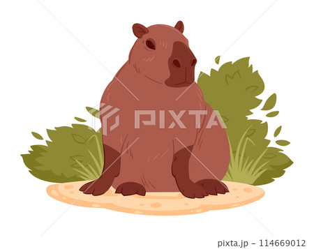 Cartoon wild capybara. Cute capybara mammal in natural habitat flat vector illustration. Semi-aquatic capybara animal Cartoon wild capybara. Cute capybara mammal in natural habitat flat vector illustration. Semi-aquatic capybara animal 114669012