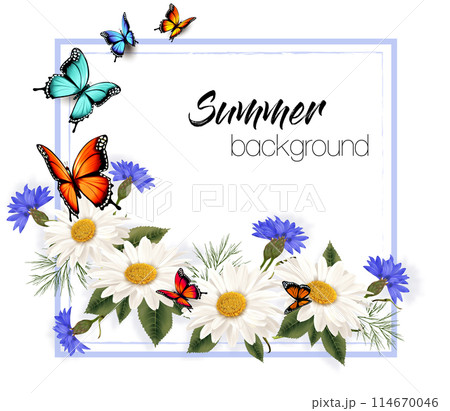 Summer flower nature background with white daisy and blue cornflowers and butterflies. Vector. 114670046