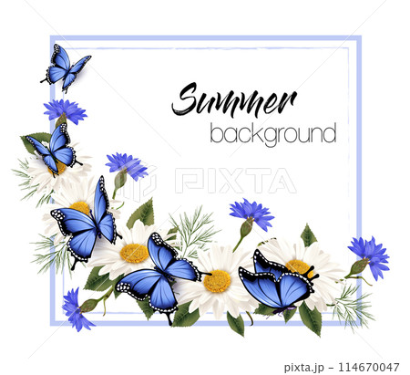 Summer flower nature background with white daisy and blue cornflowers and butterflies. Vector. 114670047
