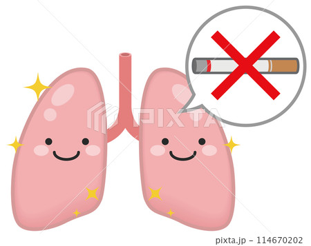 健康な肺のキャラクター 114670202