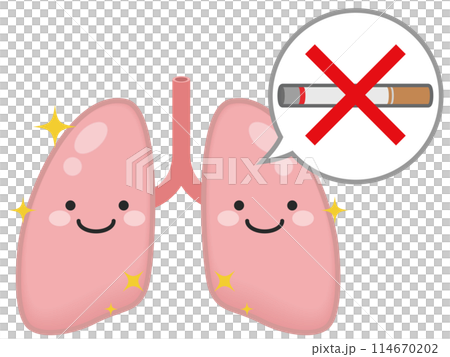 健康な肺のキャラクター 114670202