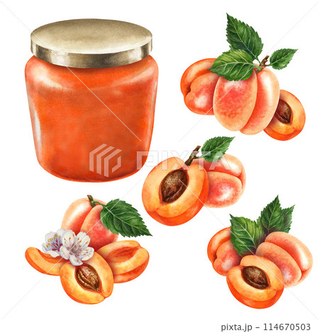 Glass jars sealed with gold, silver, bronze lids contain apricot jam. Watercolor illustration for template design of sweet harvest, summer fruits, juices, canned food, marmalade and sweets 114670503