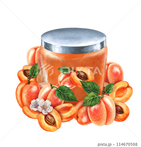 Glass jars sealed with gold, silver, bronze lids contain apricot jam. Watercolor illustration for template design of sweet harvest, summer fruits, juices, canned food, marmalade and sweets 114670508