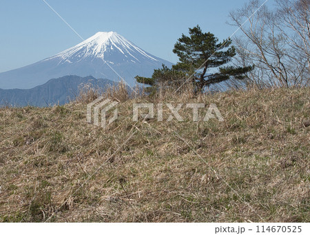 早春の富士山 早春の富士山 114670525