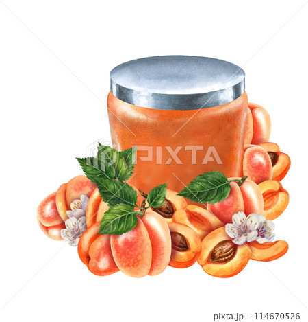 Glass jars sealed with gold, silver, bronze lids contain apricot jam. Watercolor illustration for template design of sweet harvest, summer fruits, juices, canned food, marmalade and sweets 114670526