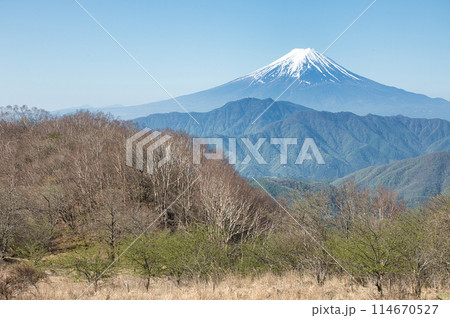 早春の富士山 早春の富士山 114670527