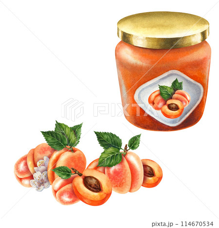 Glass jars sealed with gold, silver, bronze lids contain apricot jam. Watercolor illustration for template design of sweet harvest, summer fruits, juices, canned food, marmalade and sweets Glass jars sealed with gold, silver, bronze lids contain apricot jam. Watercolor illustration for template design of sweet harvest, summer fruits, juices, canned food, marmalade and sweets 114670534