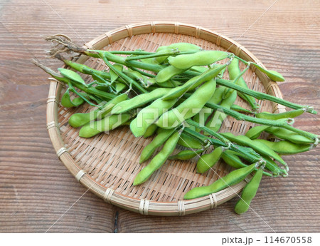 夏のビールのおつまみに！家庭菜園で収穫した枝豆の写真 114670558