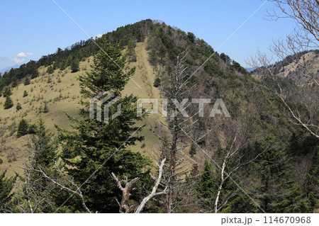 登山道 114670968