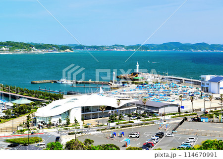 湘南　江ノ島ヨットハーバーの風景 114670991