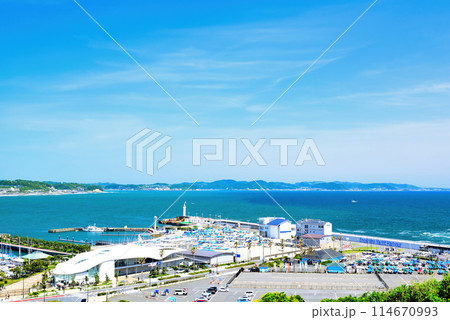 湘南 江ノ島ヨットハーバーの風景 湘南 江ノ島ヨットハーバーの風景 114670993