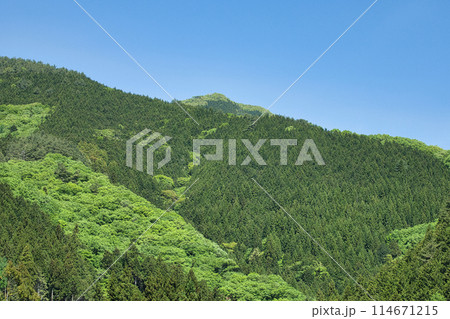 新緑の山々 新緑の山々 114671215