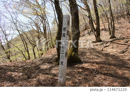 米背負い峠 米背負い峠 114671220