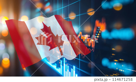 ビジネスイメージ ファイナンシャルグラフと国旗 ビジネスイメージ ファイナンシャルグラフと国旗 114671258