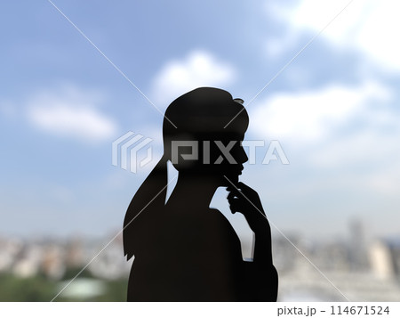 女性の黒いシルエット 考える 悩む 3Dイラストレーション 横 女性の黒いシルエット 考える 悩む 3Dイラストレーション 横 114671524