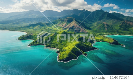 Aerial view captures a stunning island with lush green mountains and azure waters, Ai Generated 114672164