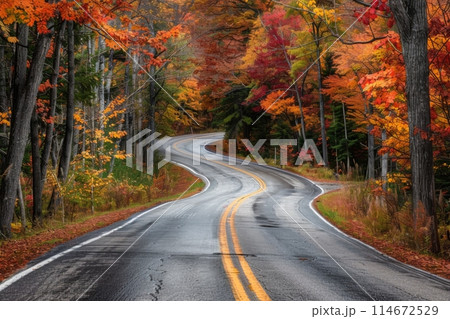 Winding Road Through Vibrant Autumn Forest Winding Road Through Vibrant Autumn Forest 114672529