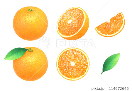 葉つきオレンジとカットしたオレンジの手描きイラストセット　新鮮な果物の素材 114672646