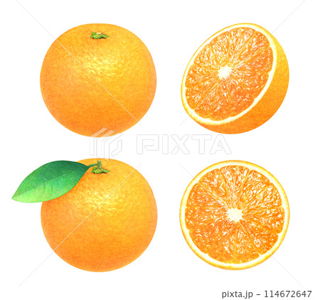 葉つきオレンジとカットしたオレンジの手描きイラストセット　新鮮な果物の素材 114672647