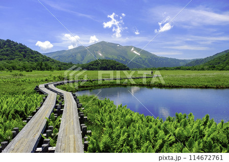 木道から望む夏の至仏山 114672761
