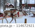 サンタクロース村のトナカイ 114672921
