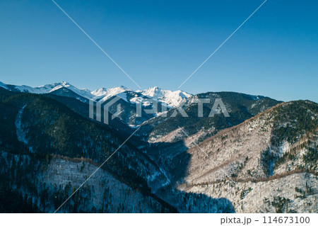 Aerial landscape mountains covered with forest and snow-capped peaks in the background. 114673100