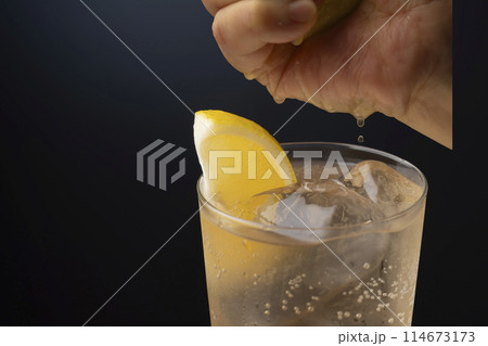 レモンハイ 114673173