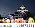岡山城　烏城　和傘　ライトアップ 114673331