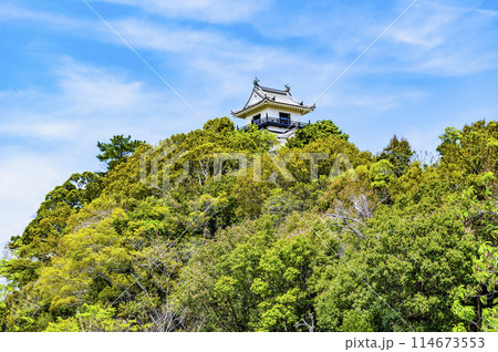 静岡 掛川城　天守 114673553