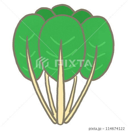 R:もっとメルヘンな野菜　小松菜① 114674122