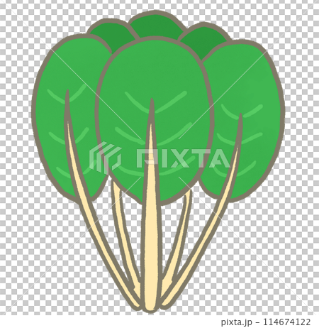 R:もっとメルヘンな野菜　小松菜① 114674122